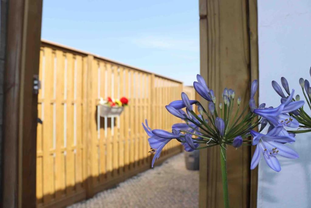 St Agnes Perfect Location, Hot Tub, Sea Views, Gym Lägenhet Exteriör bild